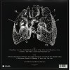 Lungs [Vinyl]