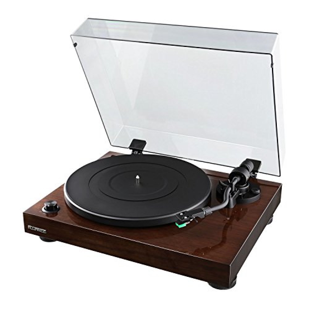 turntable stylus