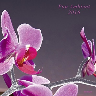 Pop Ambient 2016