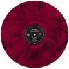 Wincing the Night Away Maroon & Black Swirl Vinyl